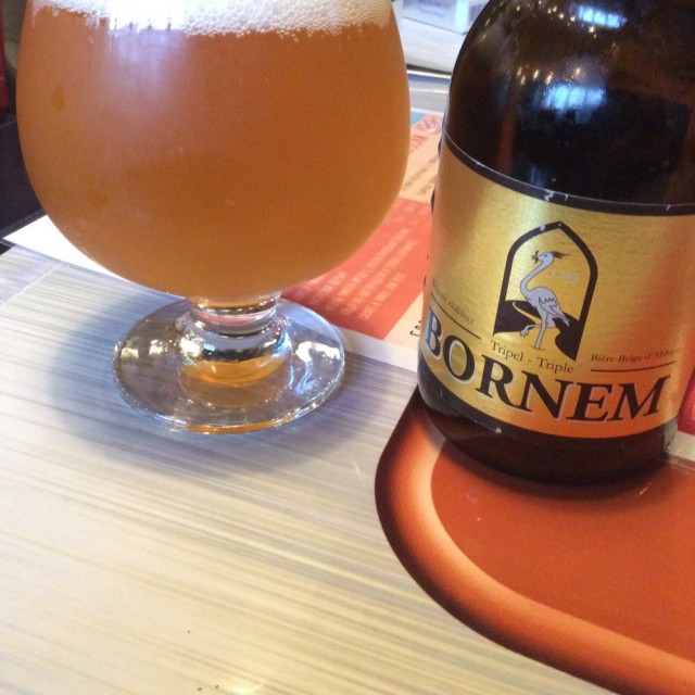 dfb5cc888f8e8fe964a13e6ede0a248e_640x640